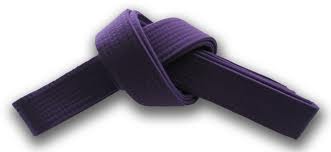 4th Kyu Purple belt